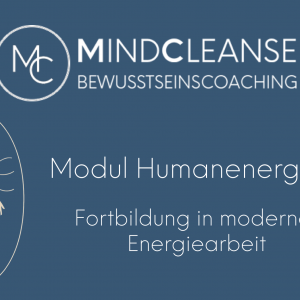 Modul Humanenergetik - Tools und Wissen für die menschliche Energiearbeit