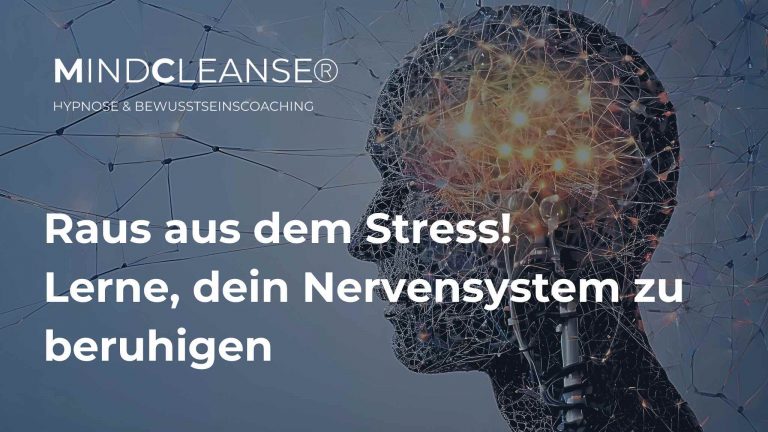 Workshop: Raus aud dem Stress – Lerne, dein Nervensystem zu beruhigen 19.05.2026