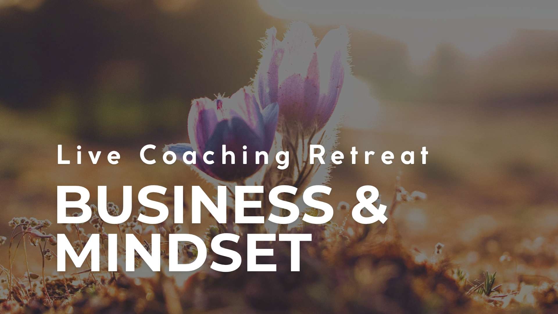 LE Business Mindset CR